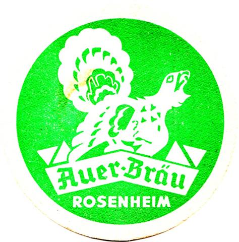 rosenheim ro-by auer was 2a (rund215-groes logo-grn)